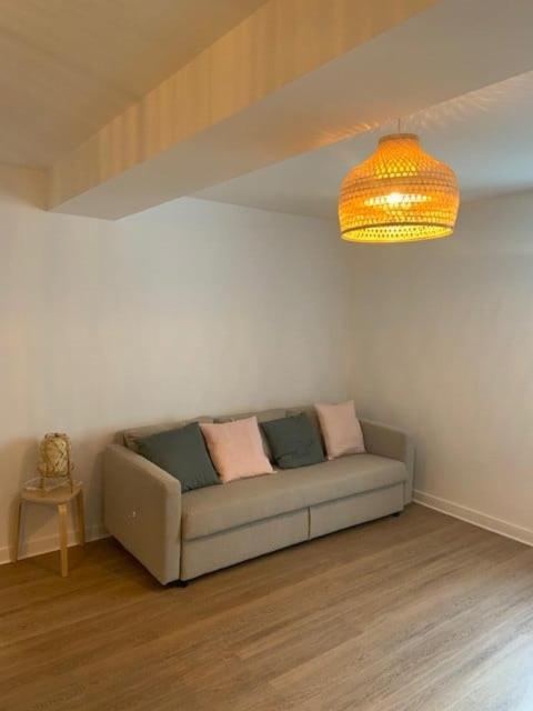 Tour D'Auvergne - Appartements En Plein Centre Ville, Proche De La Cathedrale Et De La Place De Jaude Clermont-Ferrand Ngoại thất bức ảnh